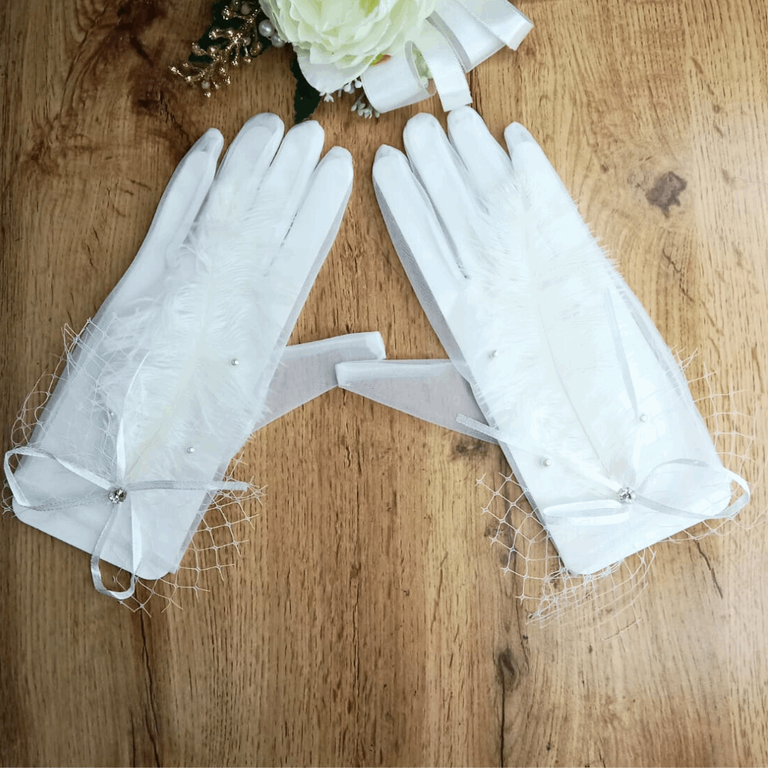Gloves Fashion Net for Woman Bridal Wedding Haryana India