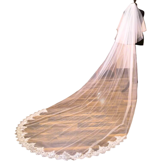 veil in Delhi India