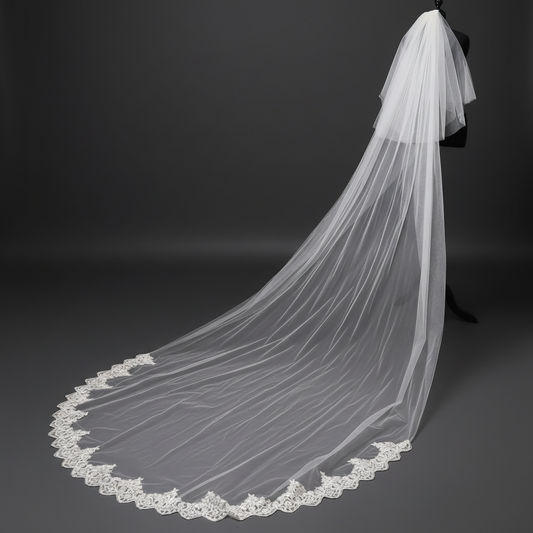 veil in Delhi India