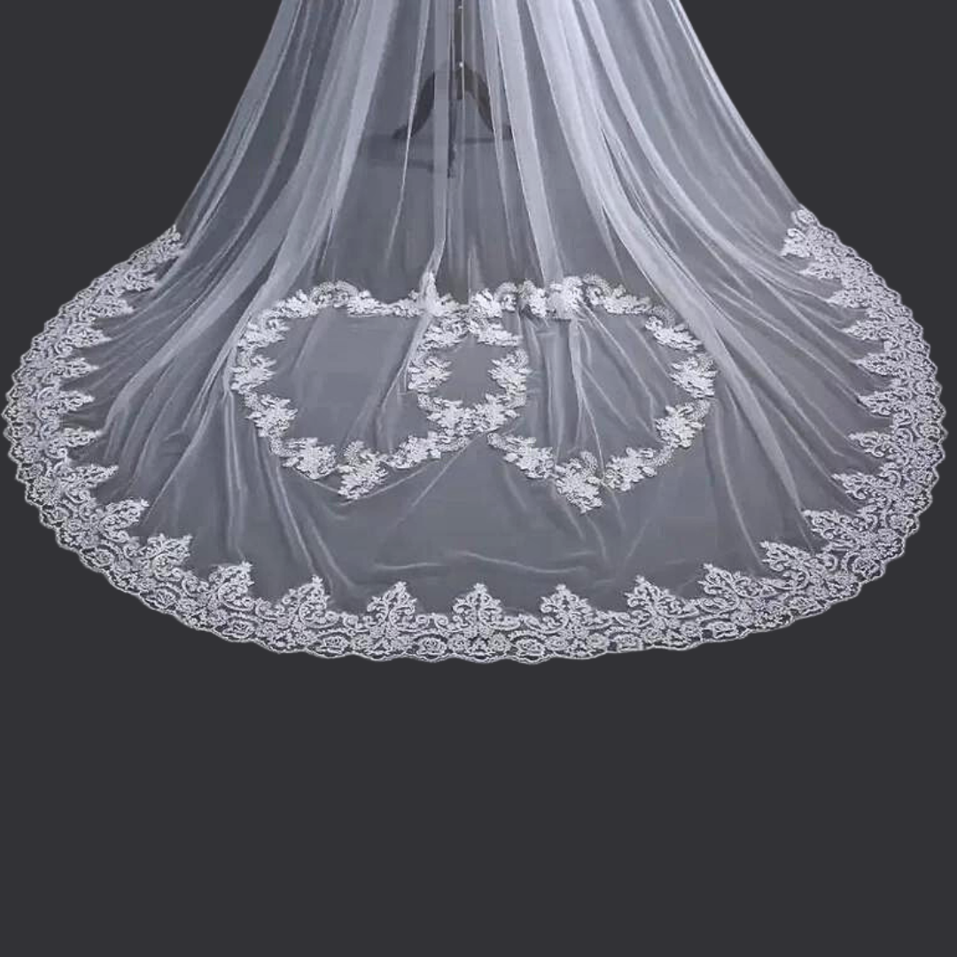 Embroidered Lace veil wedding Indore India