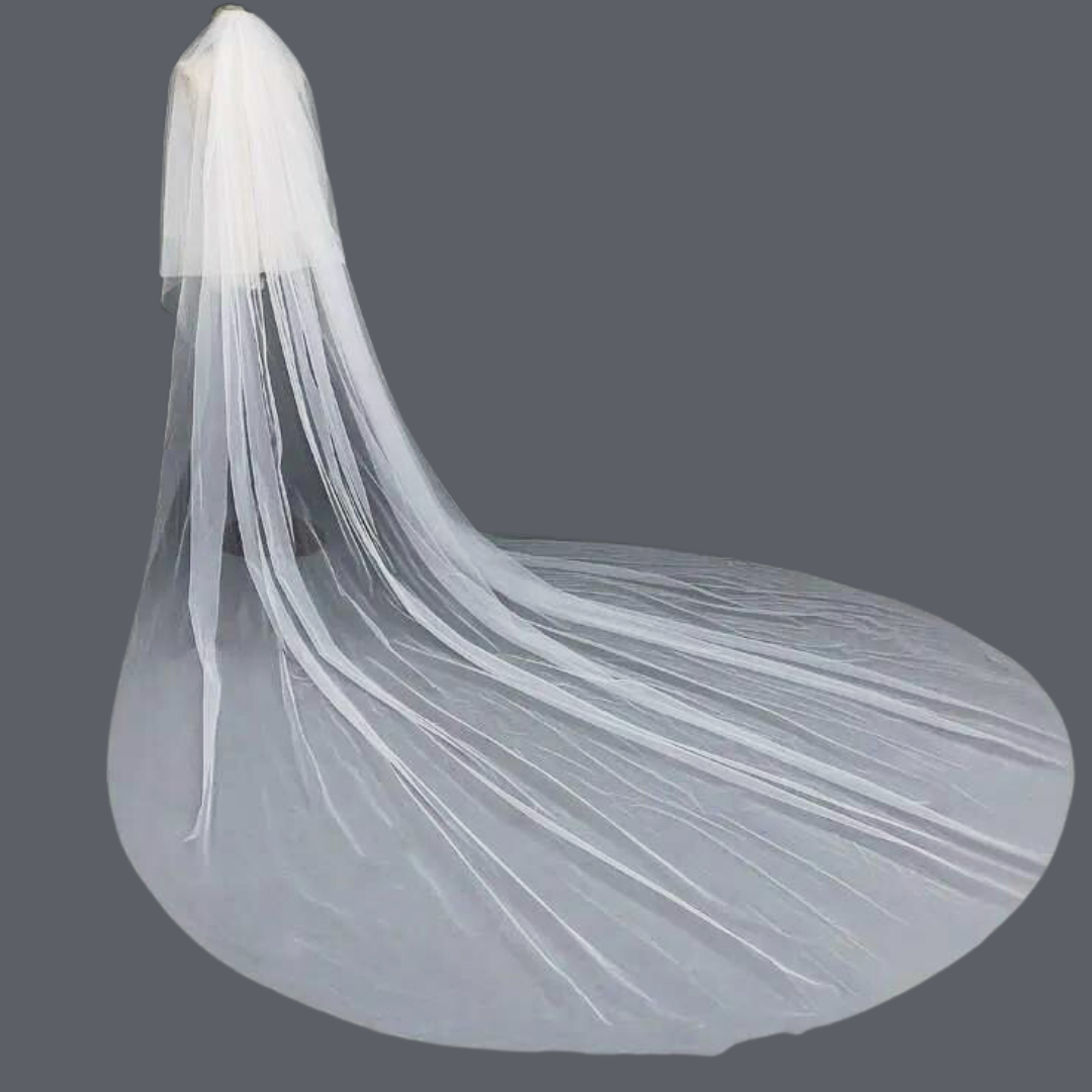 wedding veils for Beautyful bridal Vadodara India