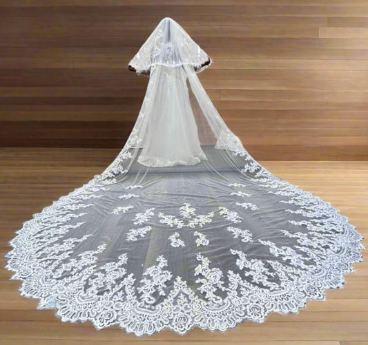 princess white married bridal Veil Arunachal