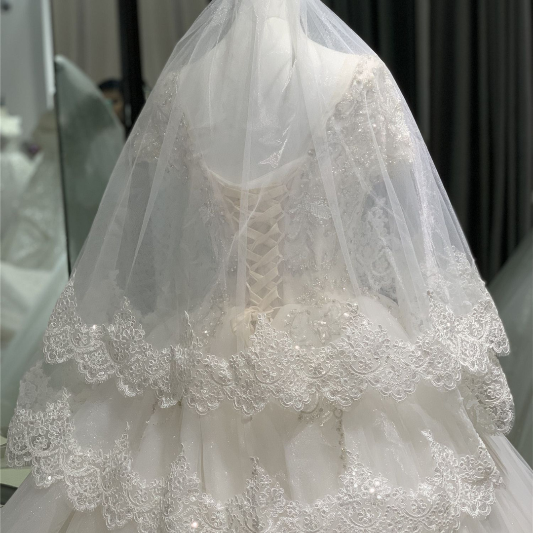 Back view of Bridal Veil with Lace showing full length and drape — GownLink GLHLCV2