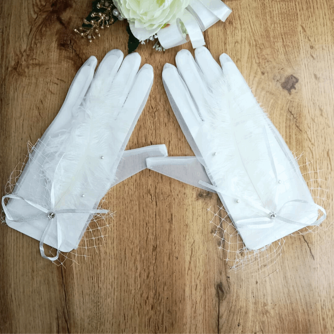  Gloves Fashion Net for Woman Bridal Wedding Haryana India