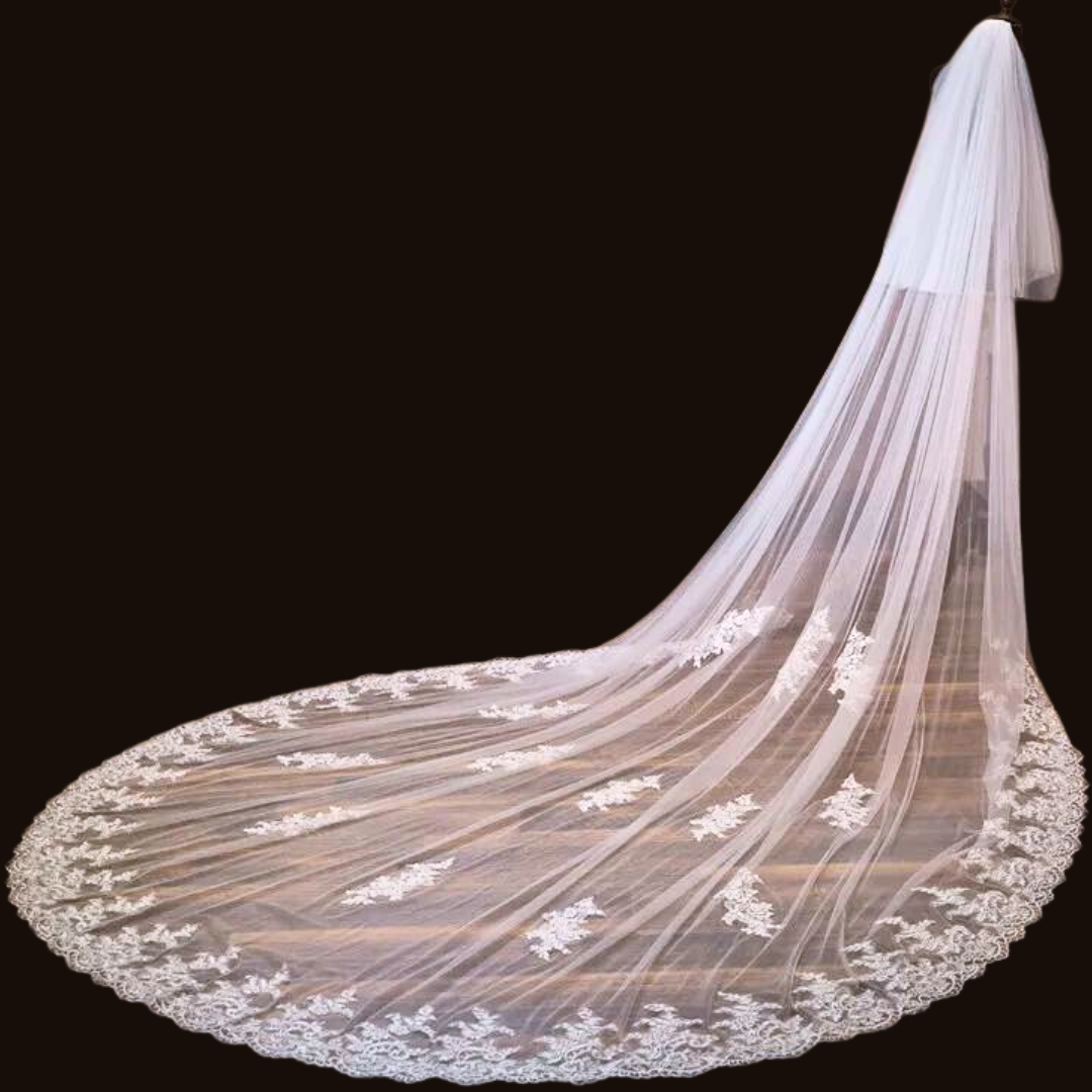 GownLink's Enchanting Radiance Exquisite Bridal 3.5mtr Veil with Comb and Adorned with Delicate Patches GLVB09D