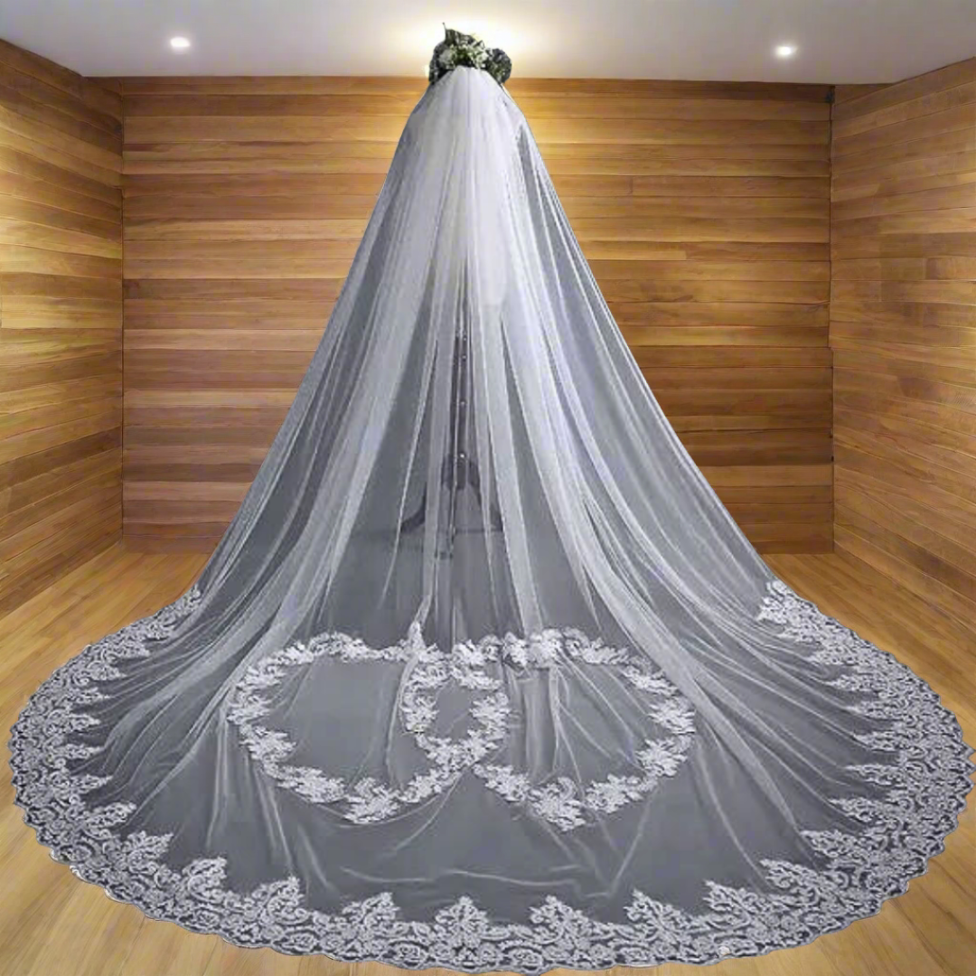 Elegant Bridal wedding veil Goa India