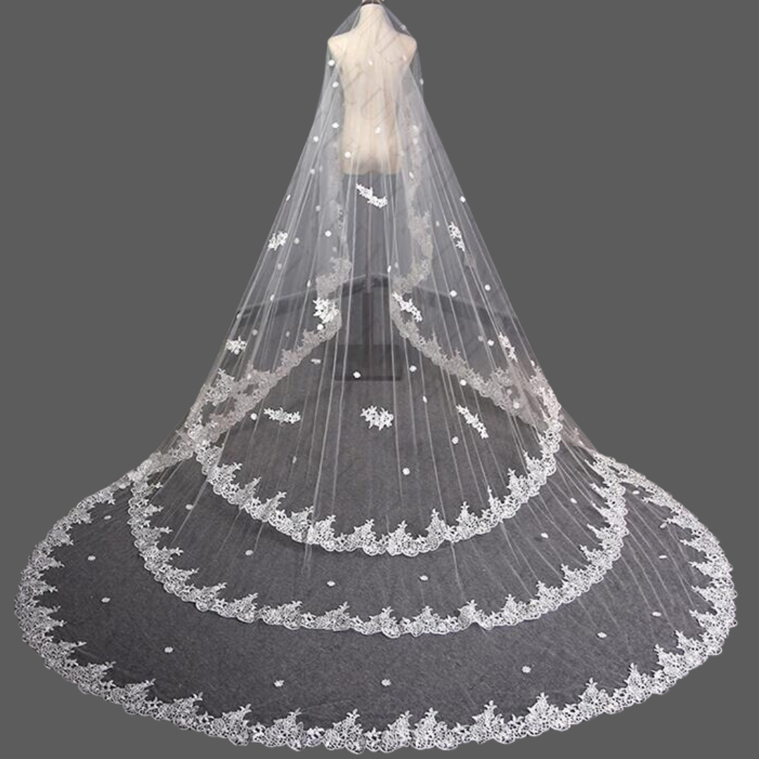 lace veil Vidisha