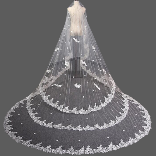 lace veil Vidisha