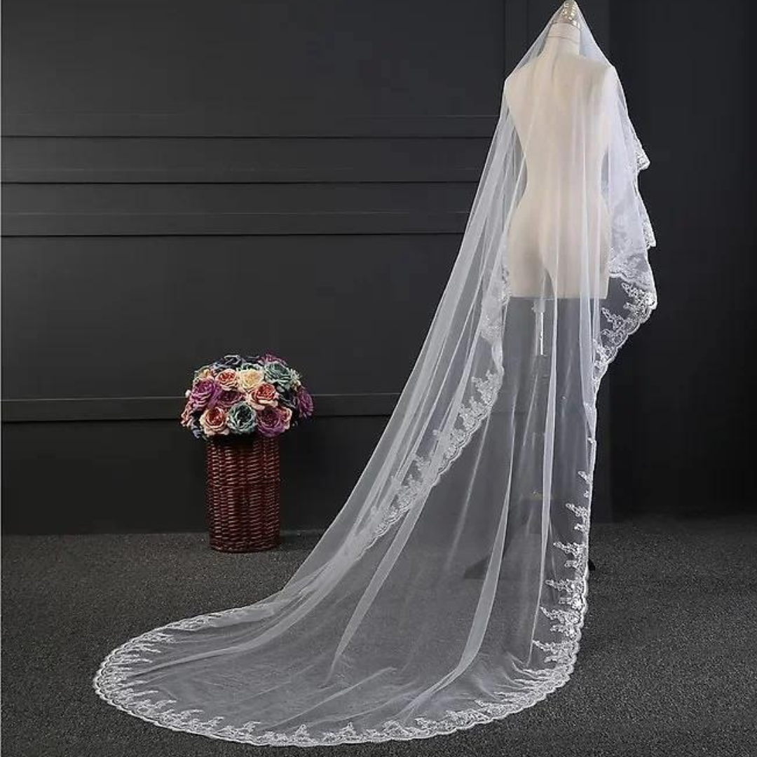Beautiful white bridal veil with sequence border for church weddings and bridal photoshoots
