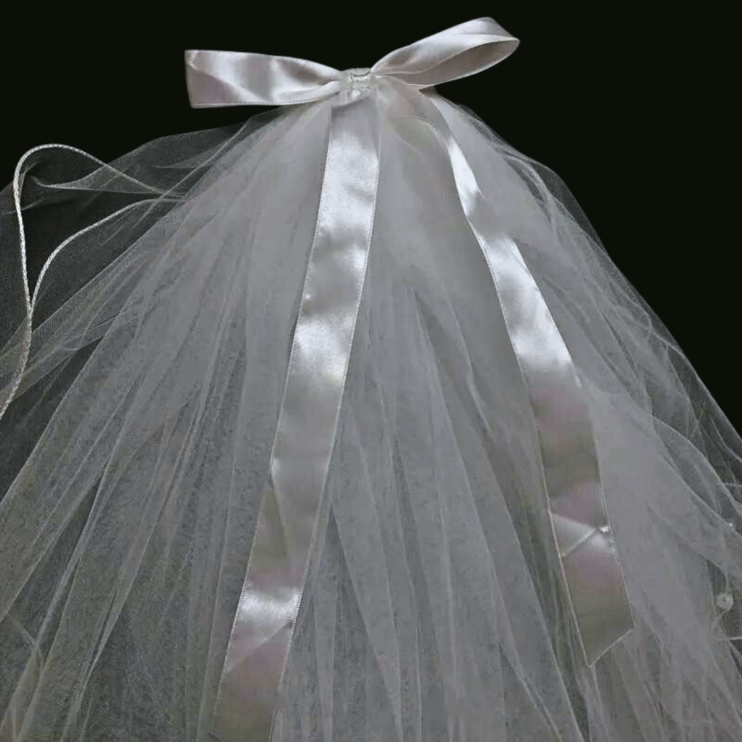 Back view of Bridal Veil showing full length and drape — GownLink GLHLCV5