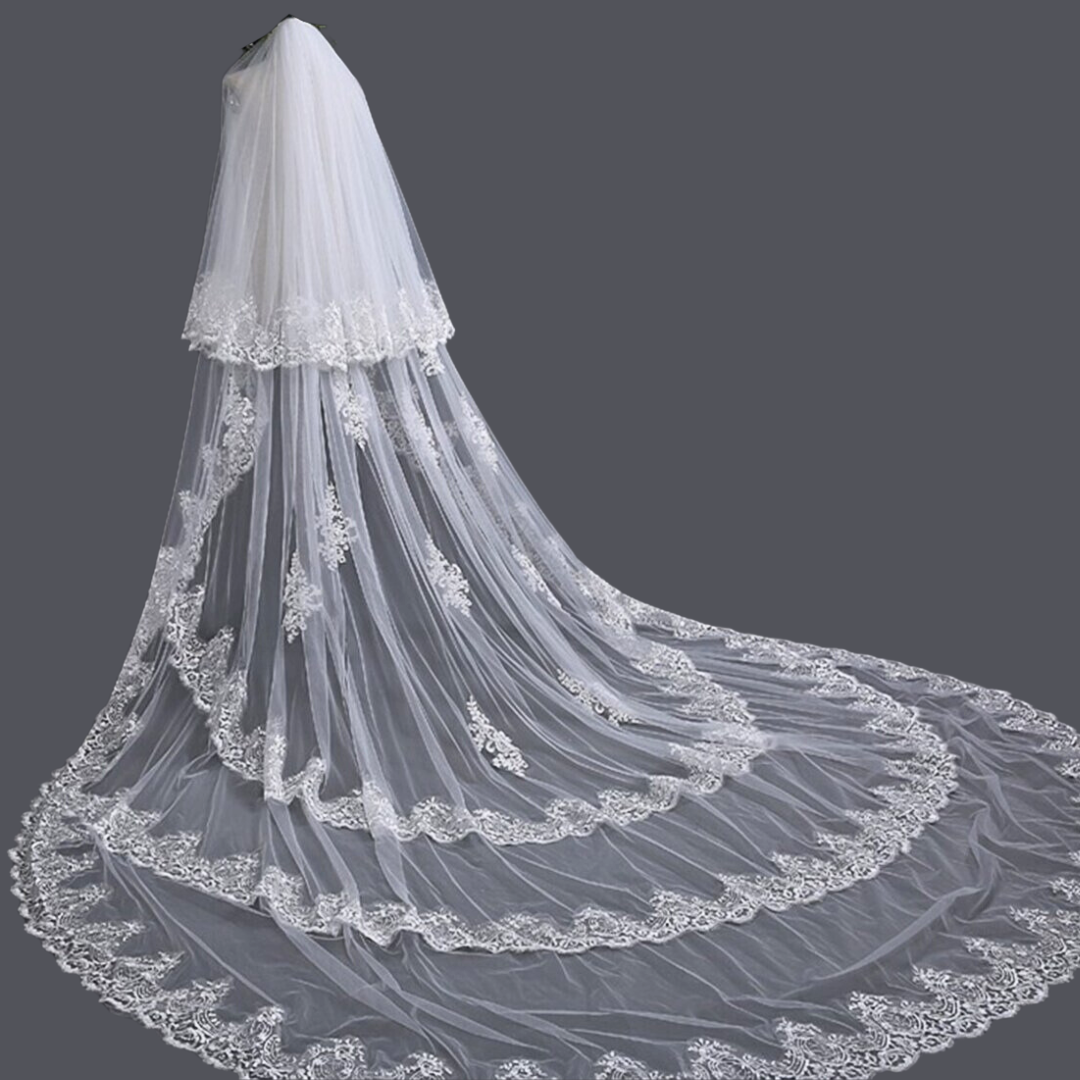 Back view of Bridal Veil with Lace showing full length and drape — GownLink GLVAL003