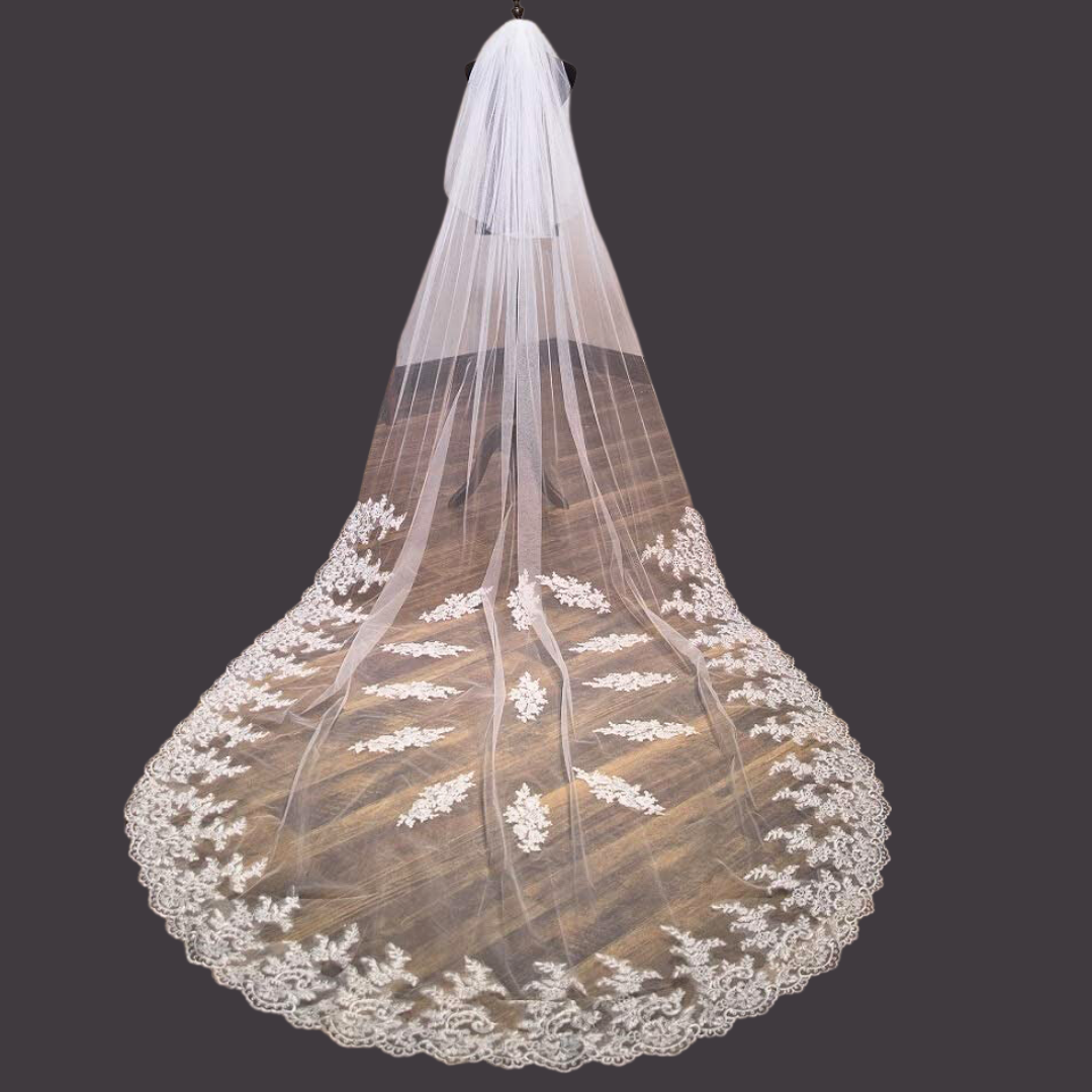 Back view of Cathedral Bridal Veil showing full length and drape — GownLink GLVHM5A