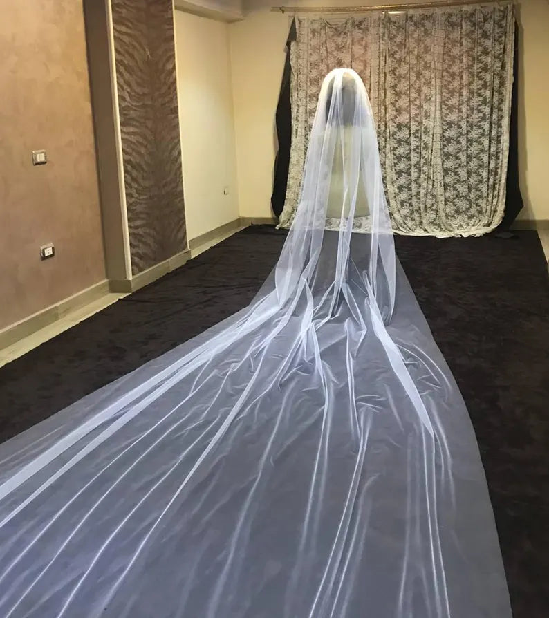 Back view of Cathedral Bridal Veil showing full length and drape — GownLink GLVHMN1