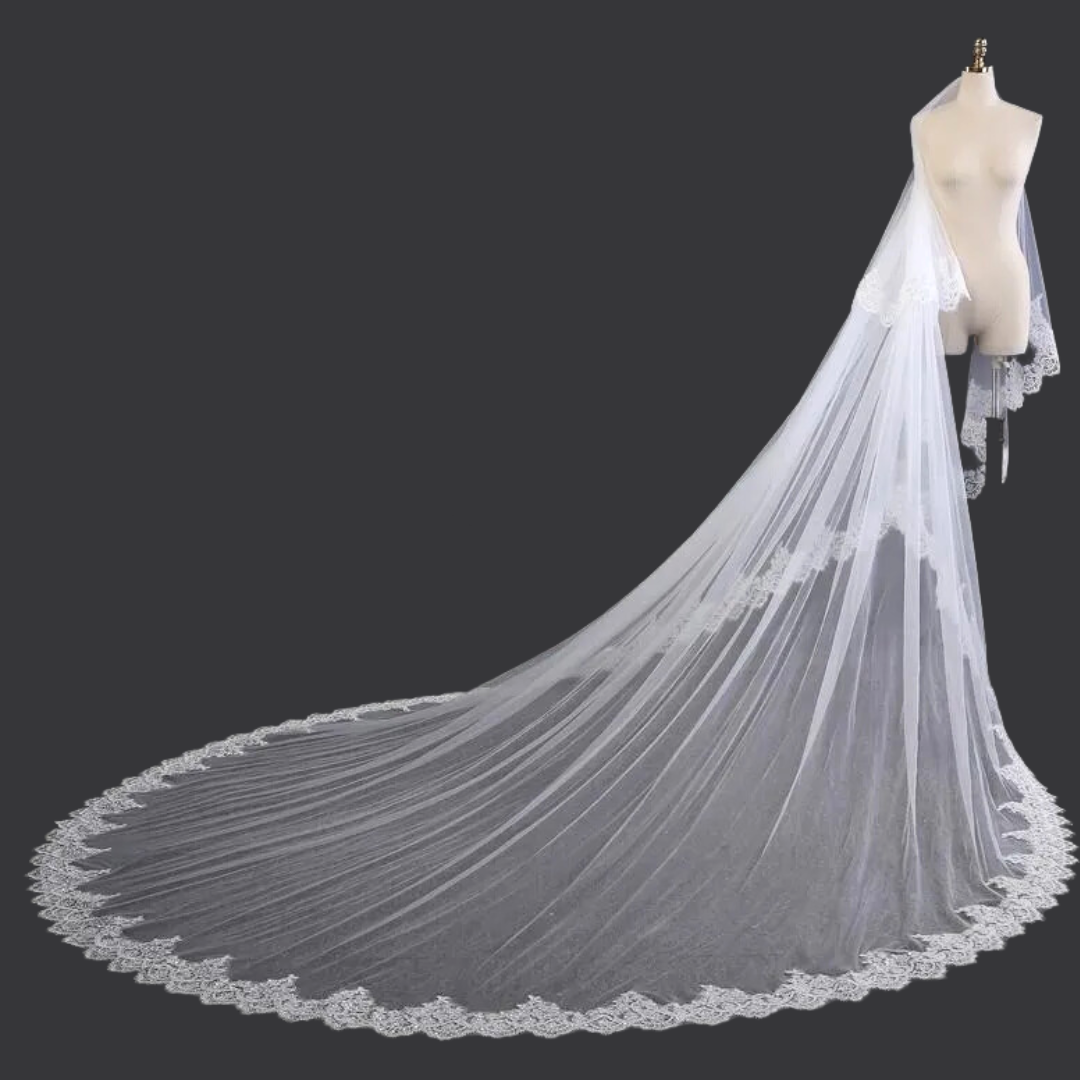 White cathedral bridal veil with lace edge on mannequin