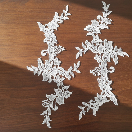 beauty full lace border in Nagpur