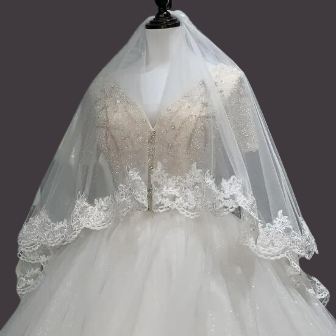 Elegant cathedral wedding veil with embroidered lace edge and soft tulle